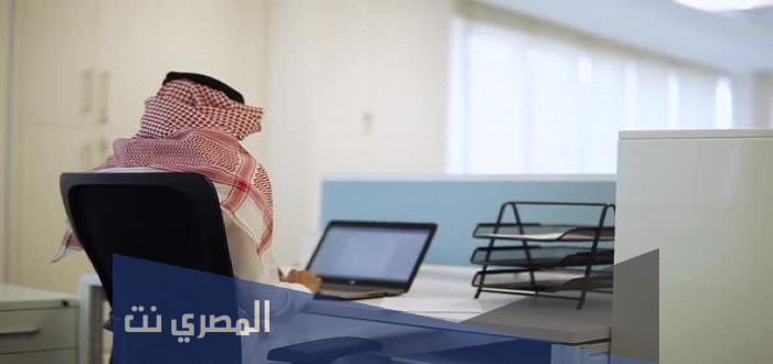 تفاصيل نظام الانضباط الوظيفي