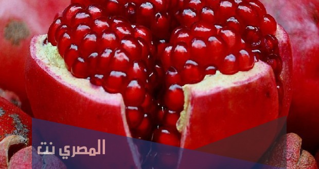 تفسير الاحلام والرؤي الرمان في المنام بالتفصيل