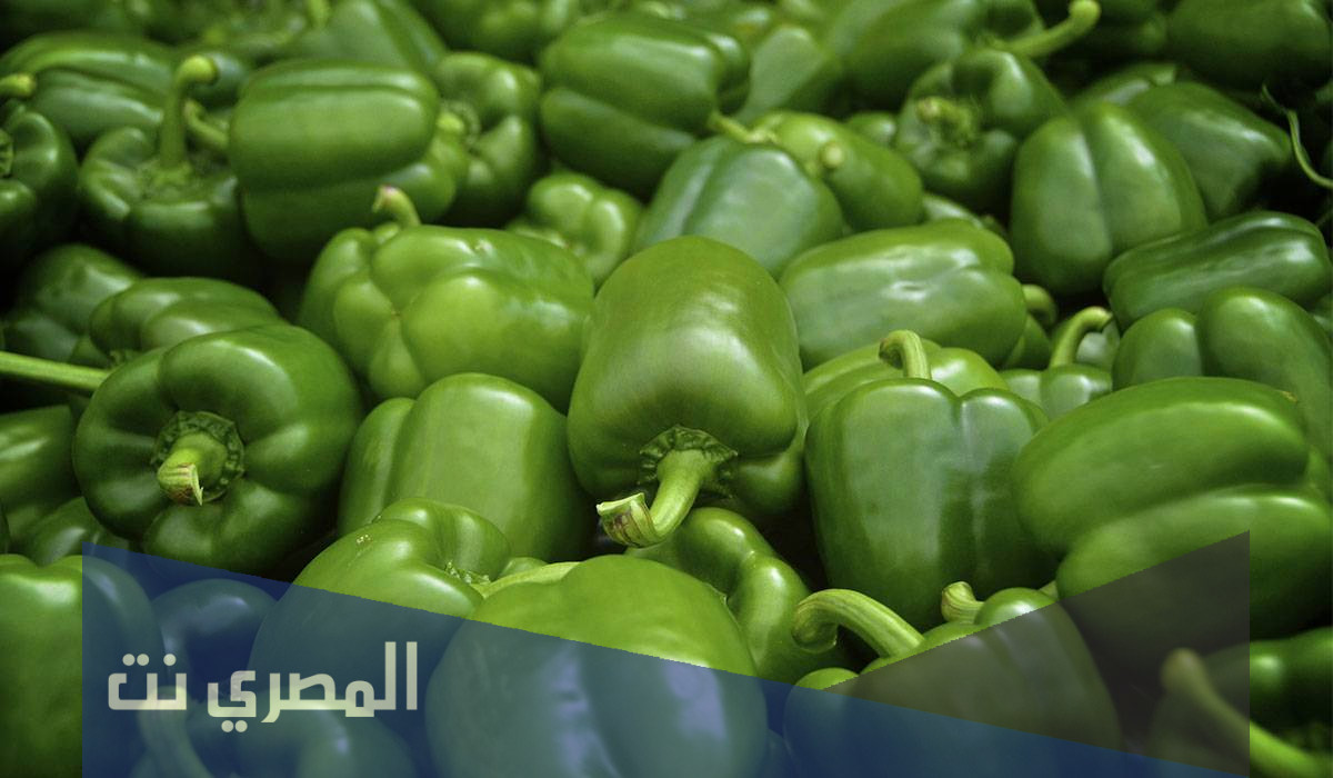 تفسير الاحلام والرؤي الفلفل في المنام