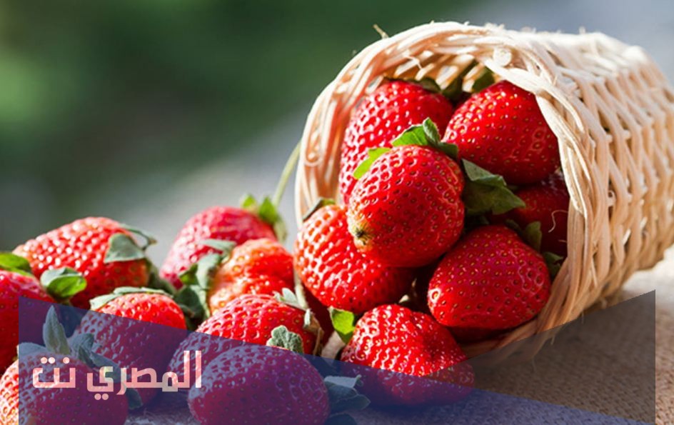 تفسير رؤية الفراولة في المنام لابن سيرين