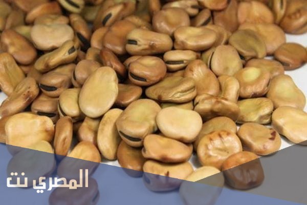تفسير رؤية الفول في المنام لابن سيرين