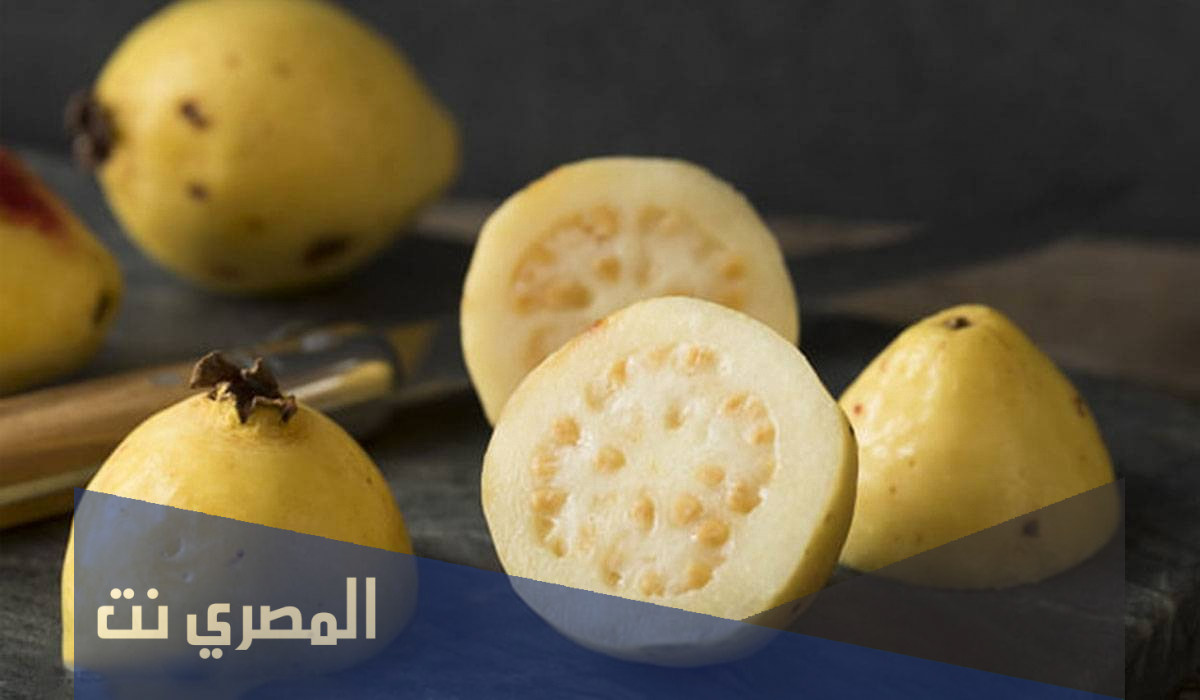 كنوز متنوعة تكمن في الجوافة 2022