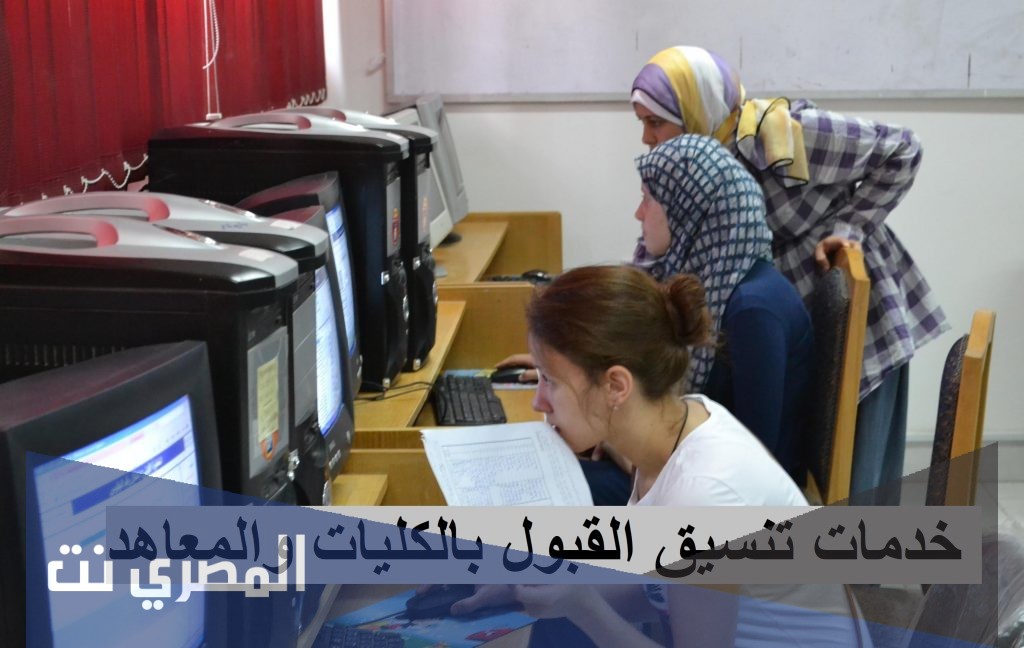 بوابة الحكومة المصرية تنسيق