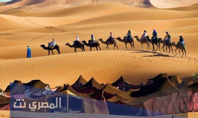 رحلة الشتاء والصيف الى اين كانت