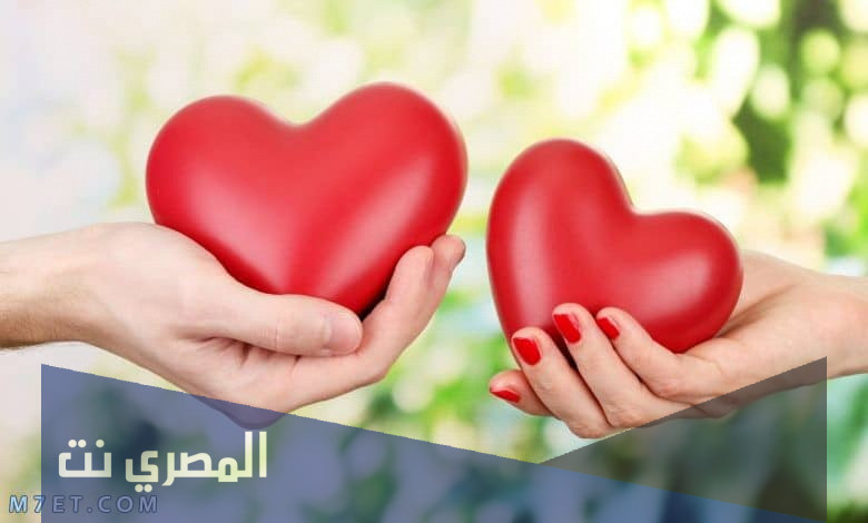 مذكرات قصة حب فيس بوك