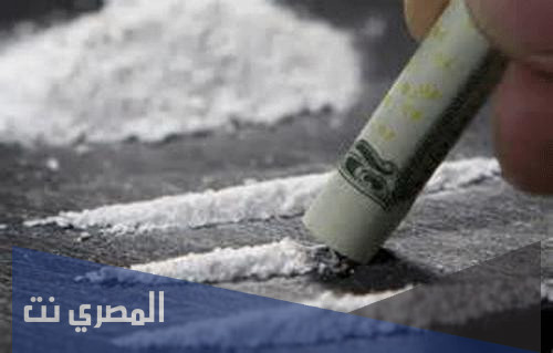سنوتنج كوك ما هو