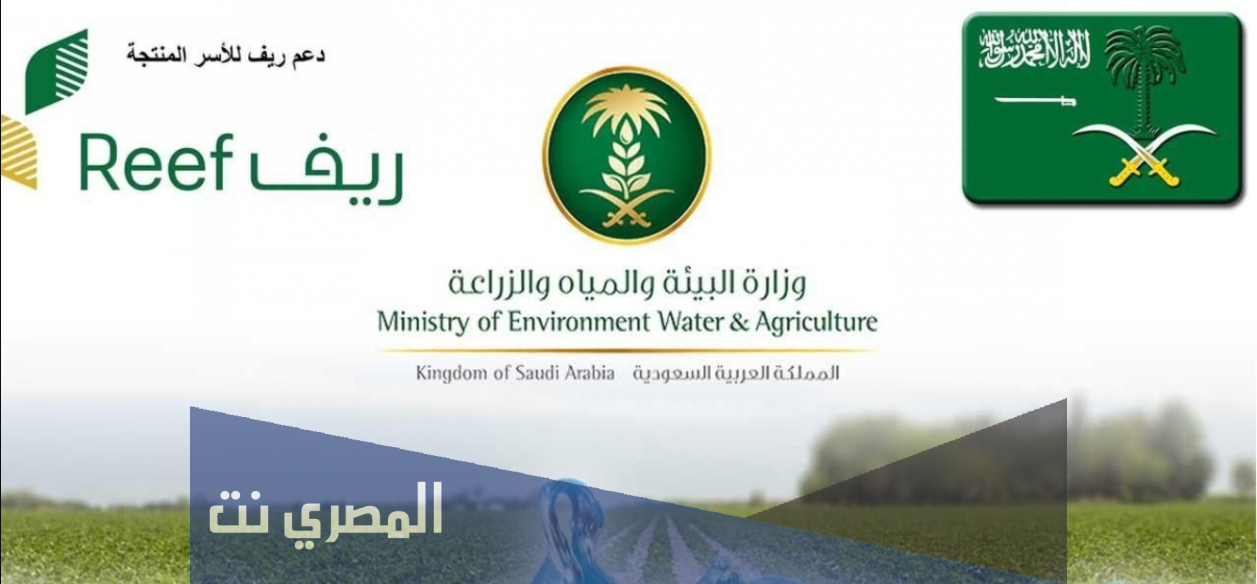 شروط الدعم الريفي للنساء وطريقة التسجيل في الدعم الريفي