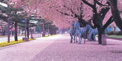 صور اجمل خلفيات في العالم 2025