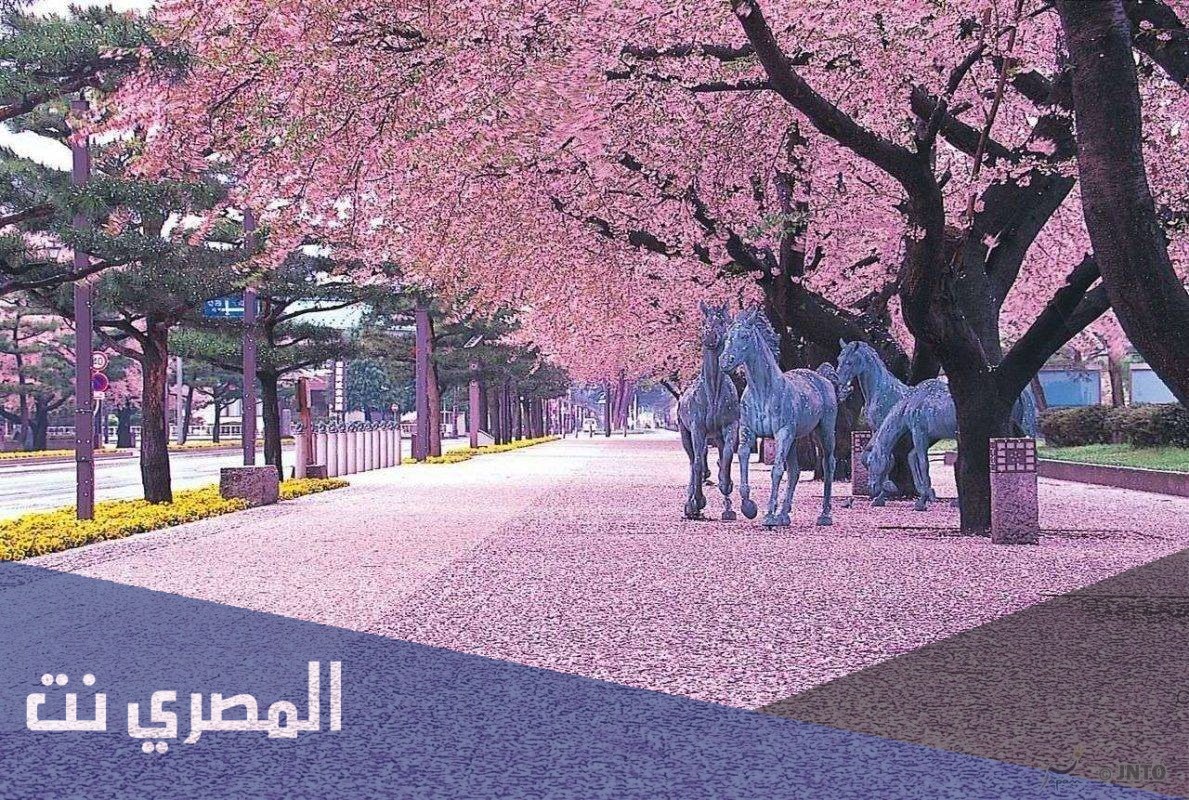 صور اجمل خلفيات في العالم 2021
