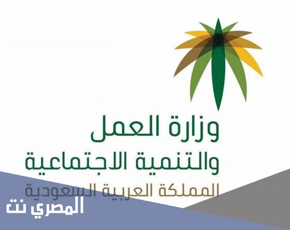 طلب تقديم شكوى وزارة العمل السعودية بالخطوات التفصيلية