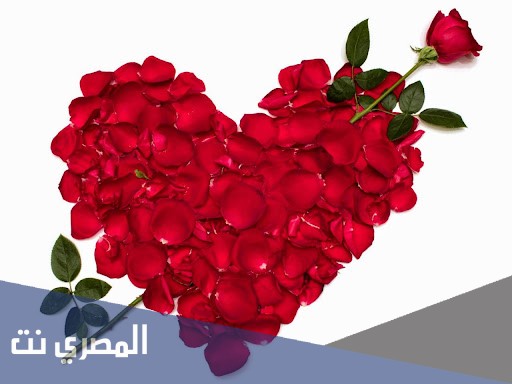 عبارات مدح للبنات قصيره