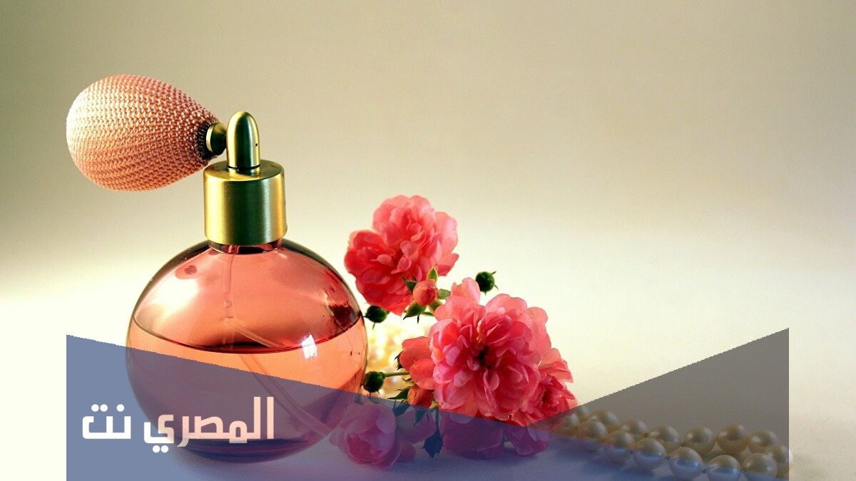عروض الماجد للعود لليوم الوطني 91
