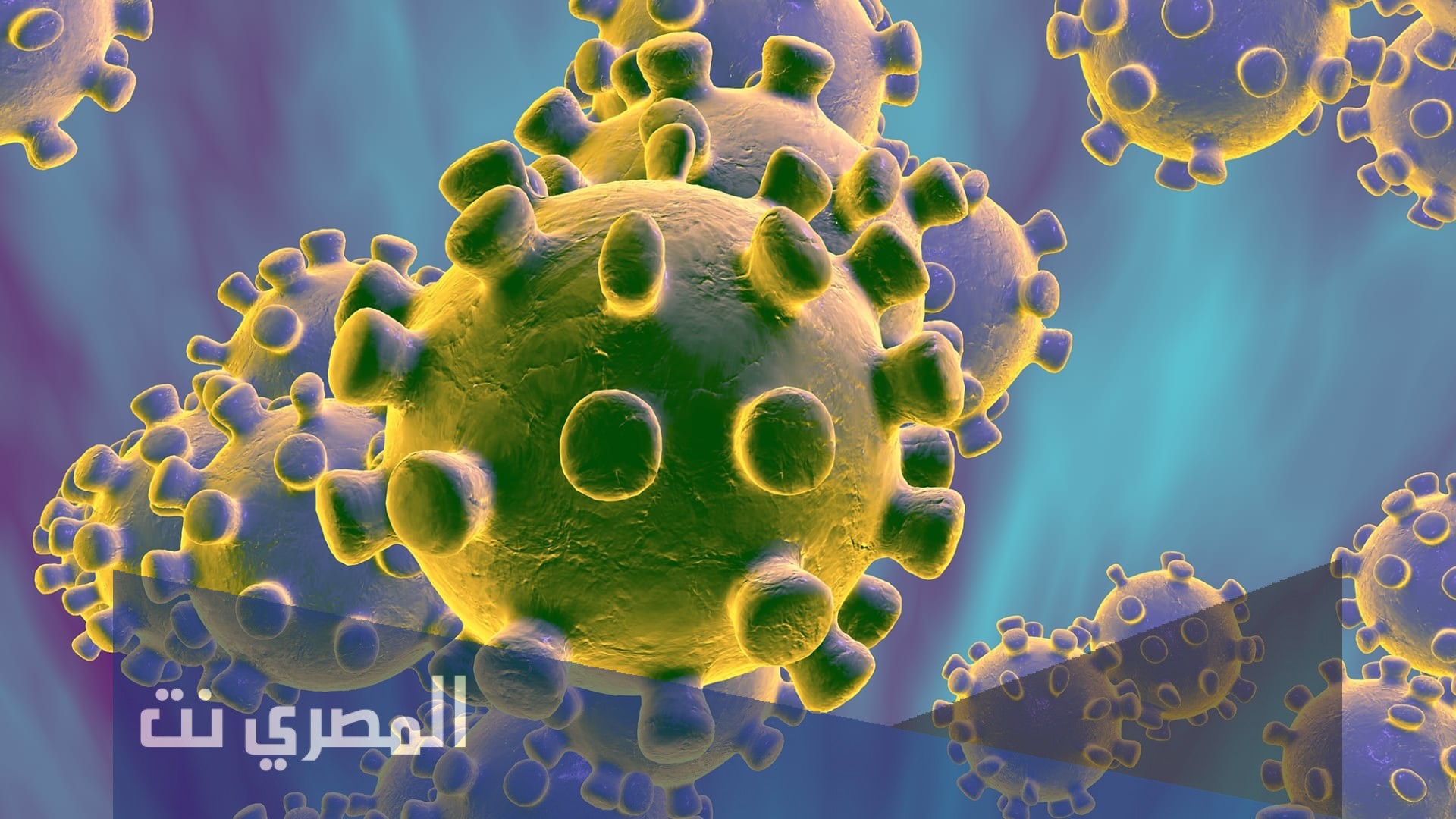لماذا سميت الفيروسات بهذا الاسم