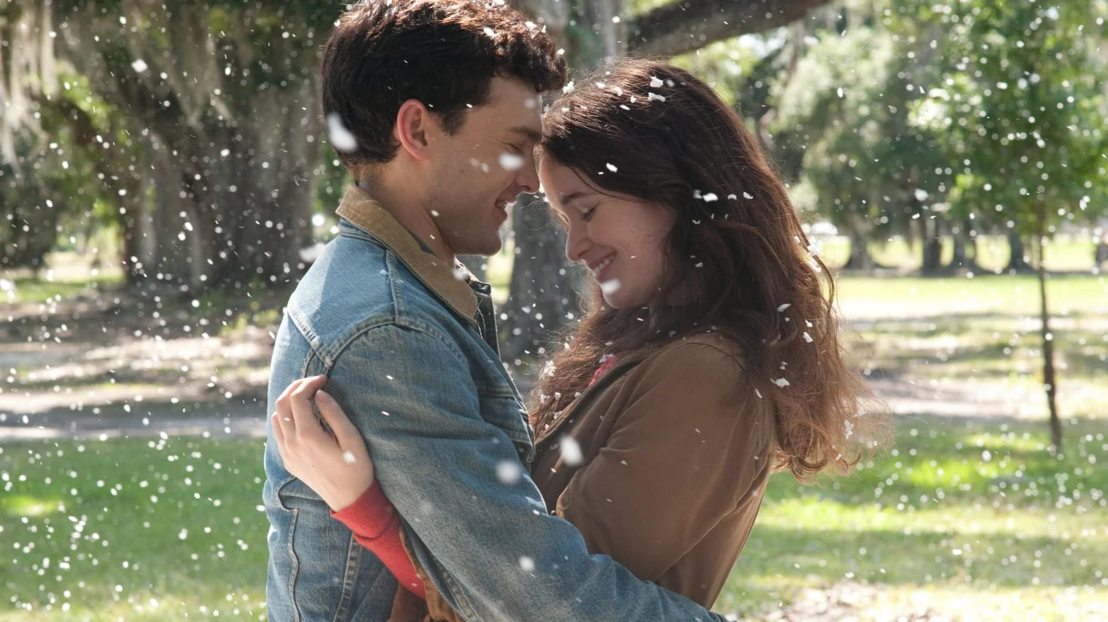 قصة فيلم beautiful creatures