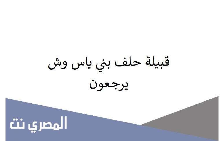 قبيلة حلف بني ياس وش يرجعون