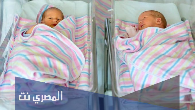 القصة الكاملة لعهود وزين