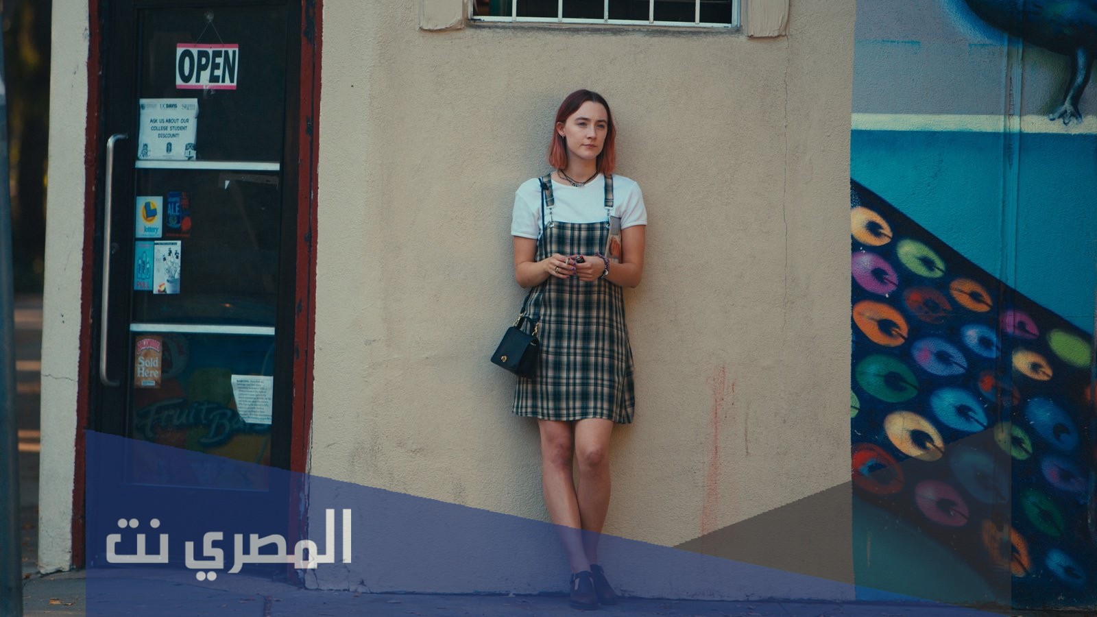 قصة فيلم lady bird ويكيبيديا