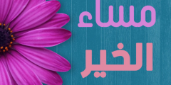 كلمات المساء 2025 اجمل عبارات عن المساء معبرة