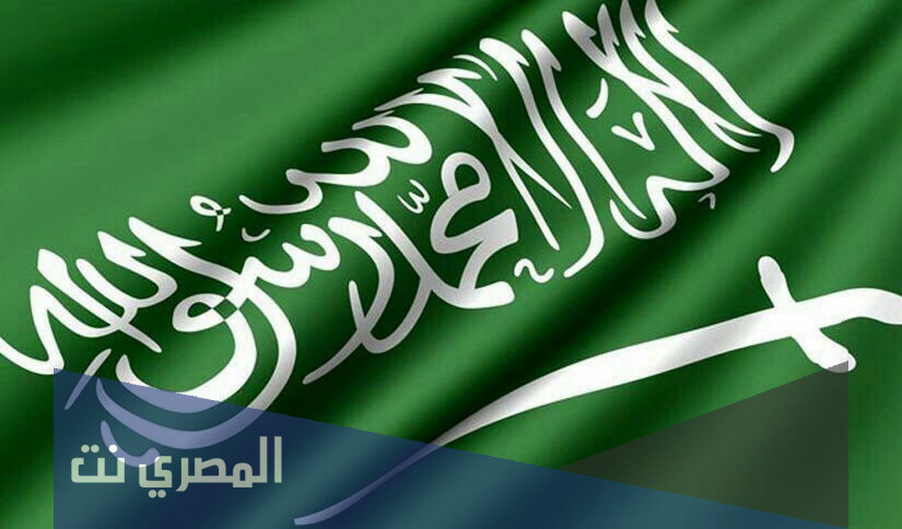 كلمات يا سائلا عن موطني وبلادي