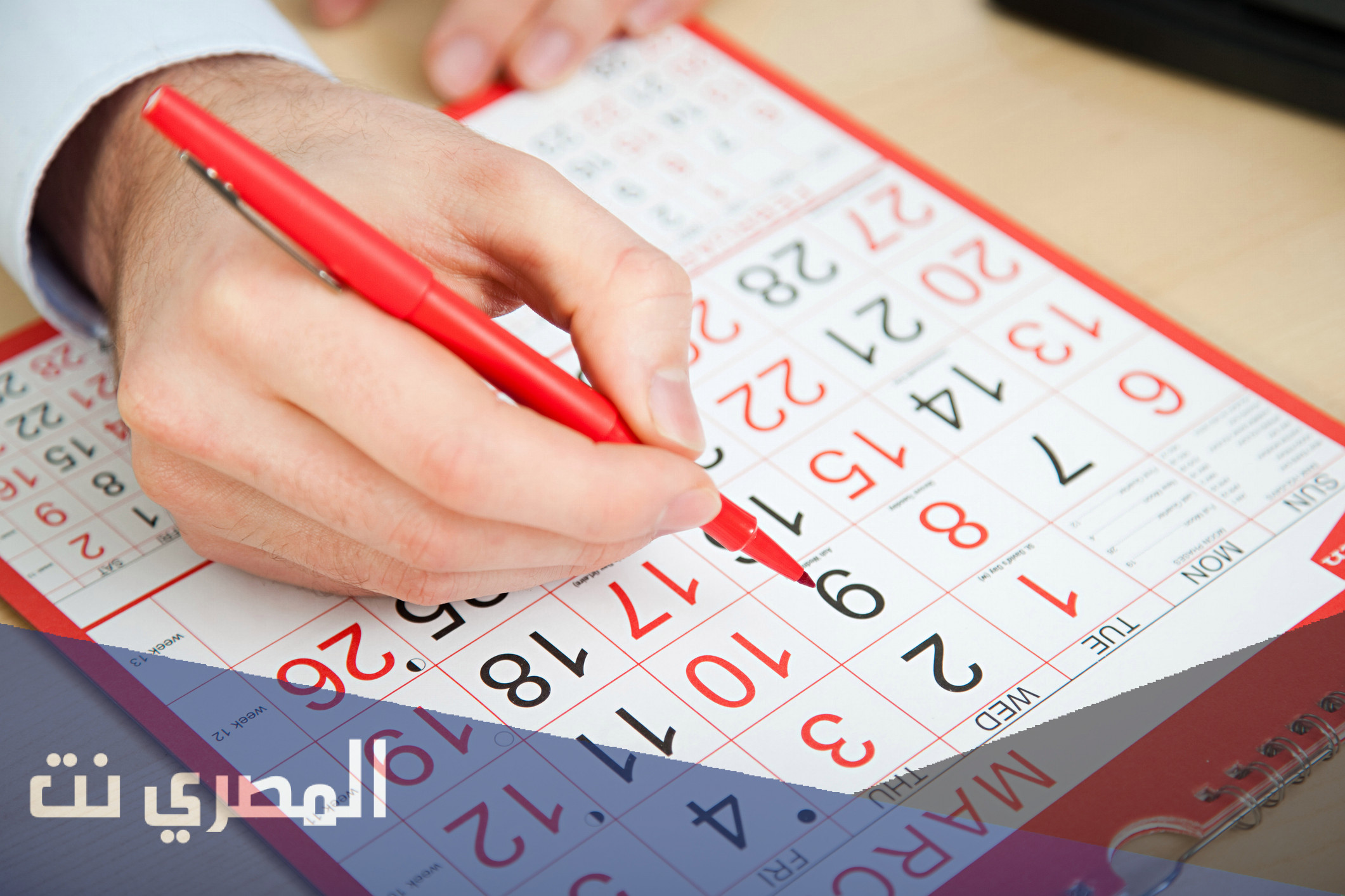 كم اسبوع في السنة الواحدة