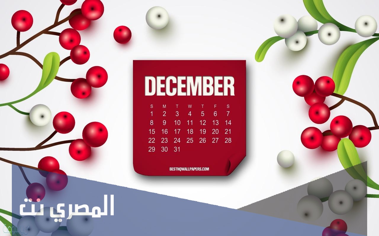 كم باقي على شهر ديسمبر 2021