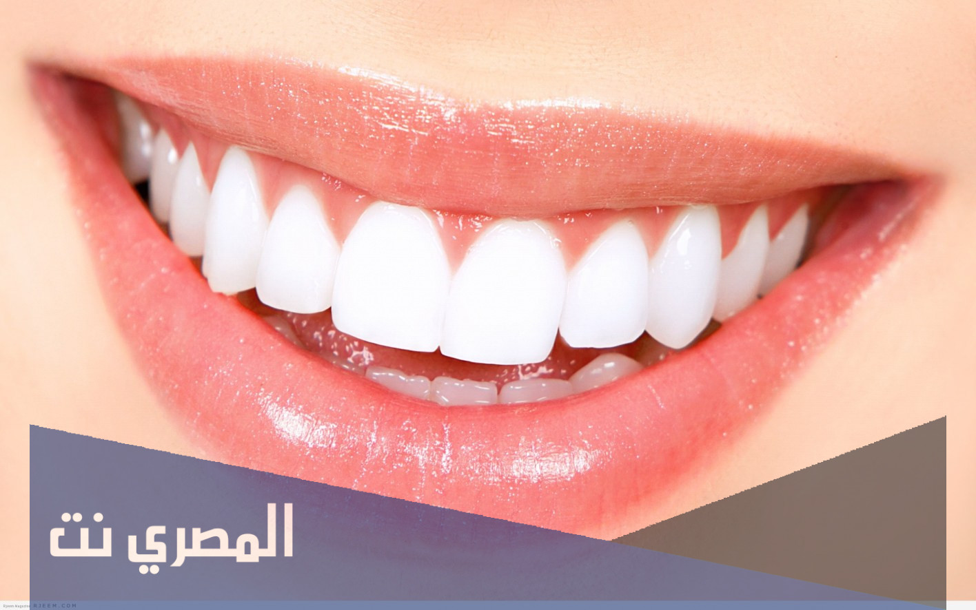 كم عدد أسنان الإنسان