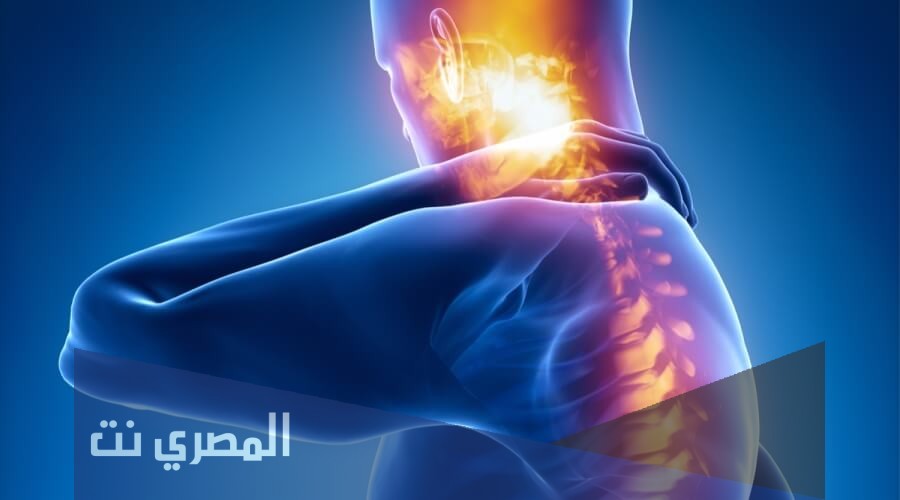 كم عدد الاعصاب التي تتفرع من الحبل الشوكي