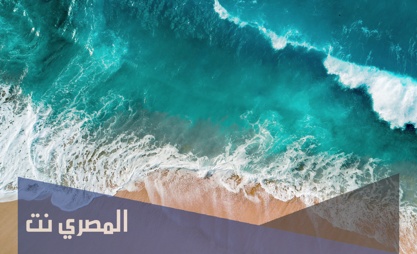 كم عدد المحيطات على سطح الارض