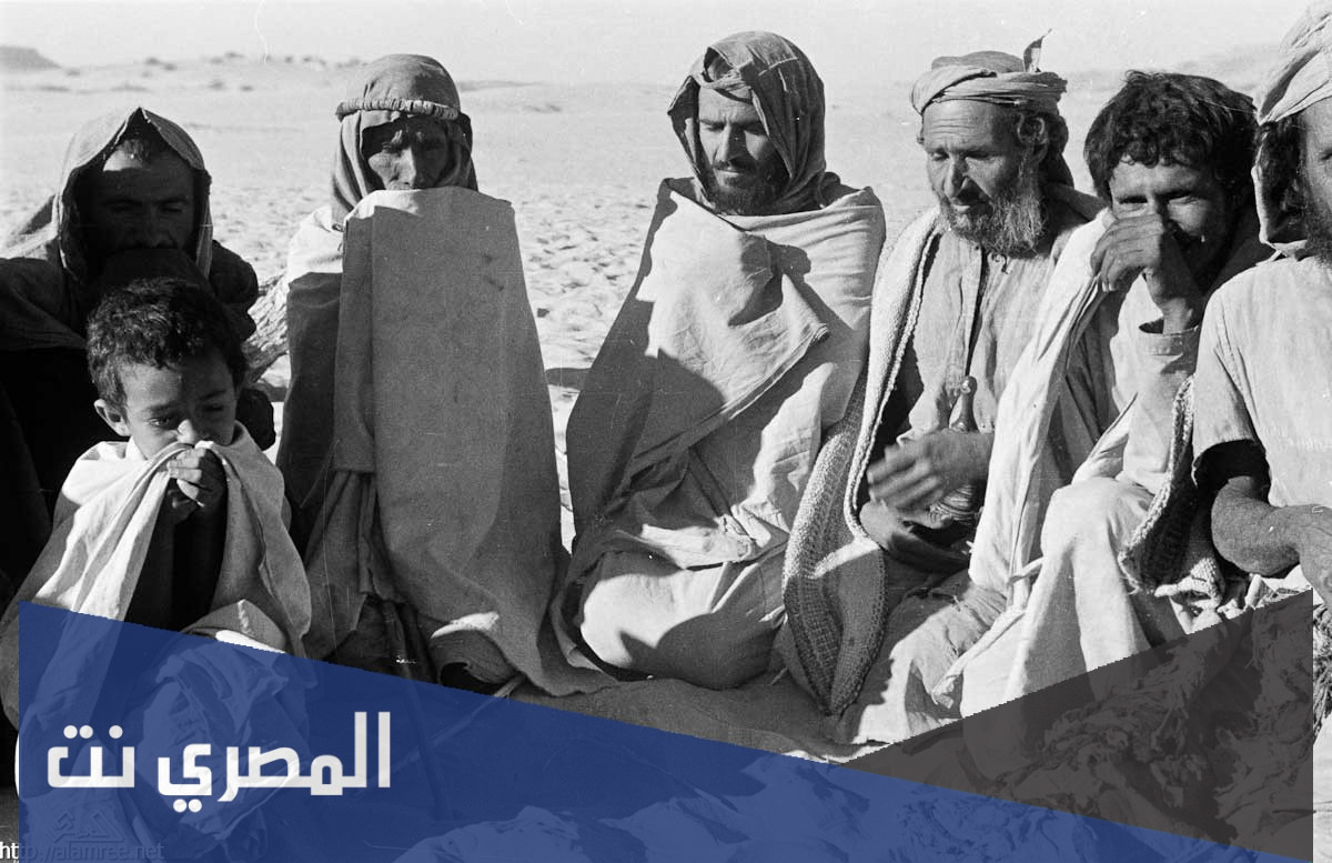 كم عدد قبيلة غامد في السعودية