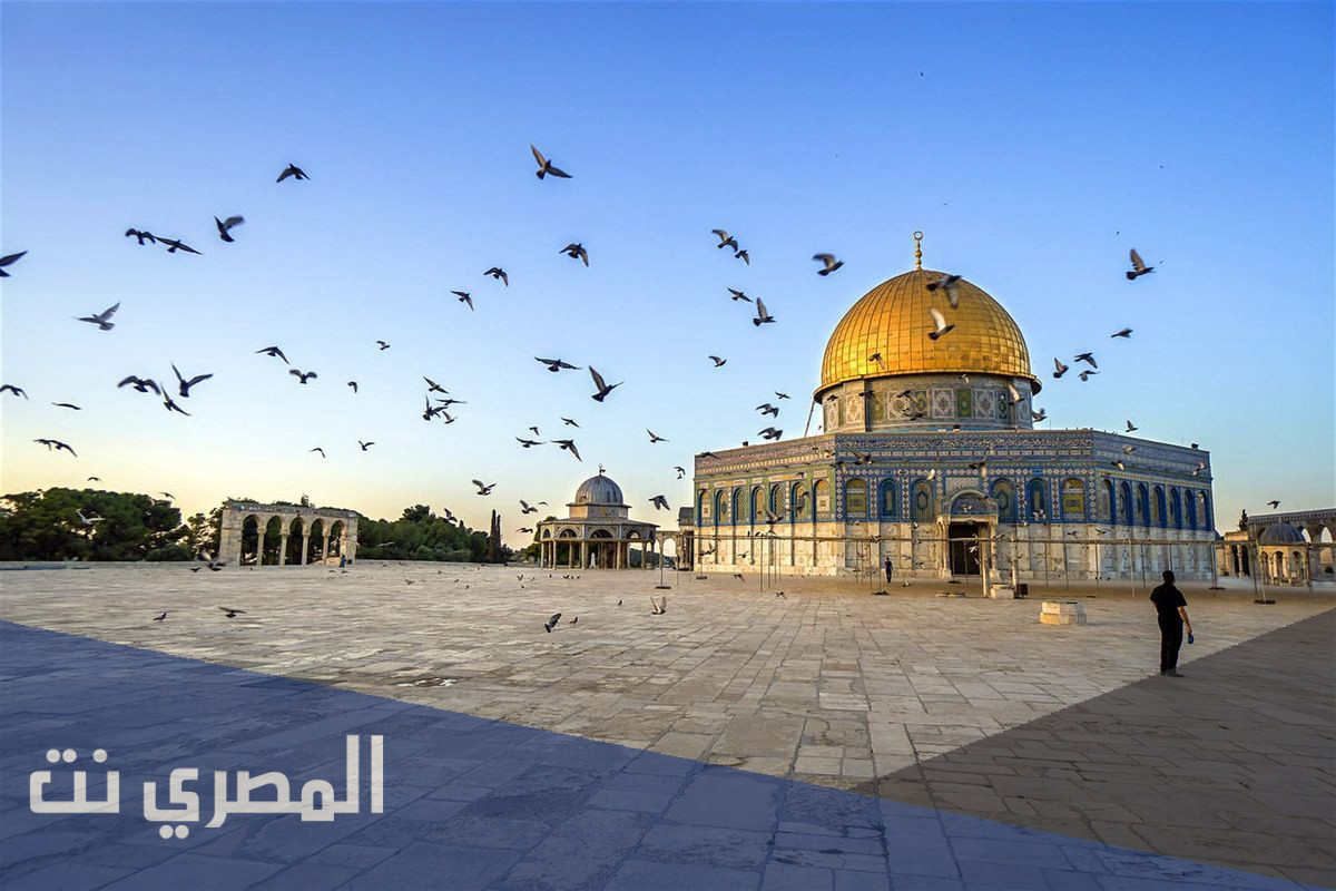 كم مدينة في فلسطين
