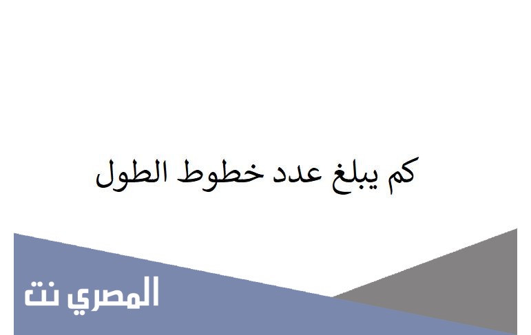 كم يبلغ عدد خطوط الطول