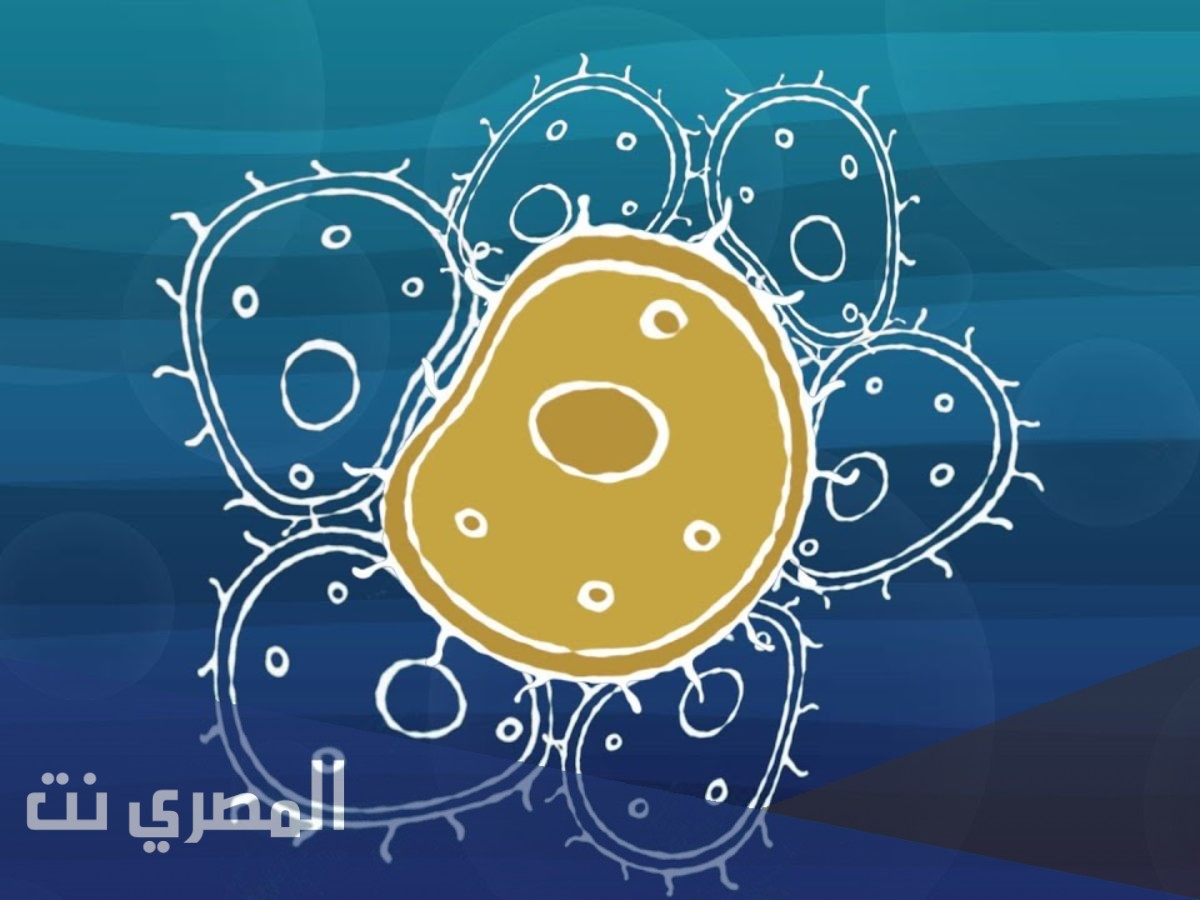 كيف اعرف ما اذا كان الشيء مخلوقاً حياً