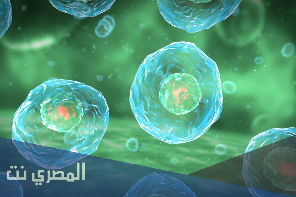 كيف اعرف ما اذا كان الشي مخلوقا حيا