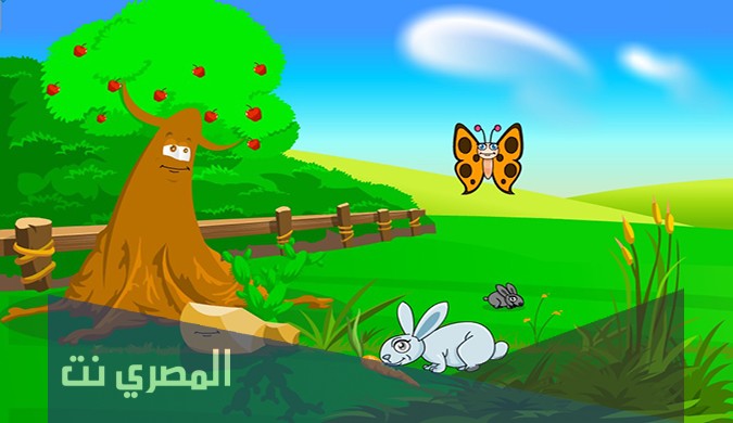كيف تنتظم اجسام المخلوقات الحية