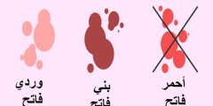 كيف شكل دم الحمل بالصور