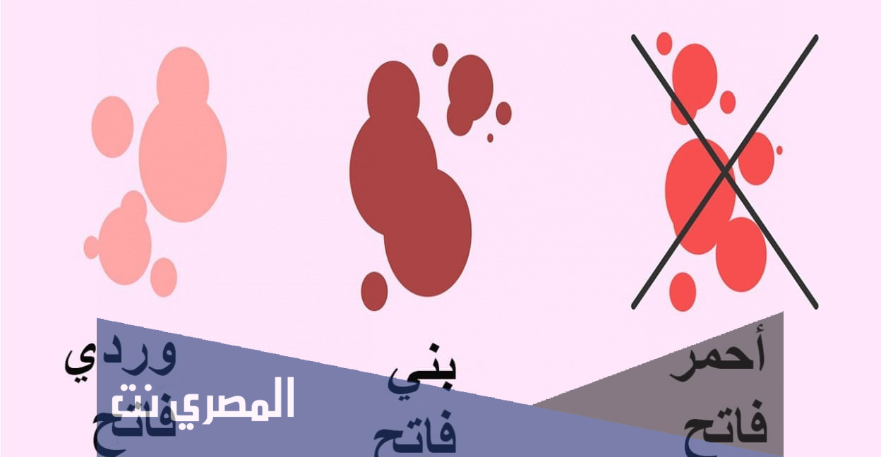 كيف شكل دم الحمل بالصور