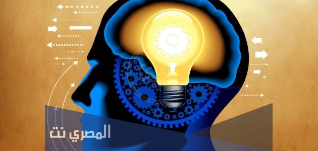 ما الذي يجب أن يقوم به الباحث بعد صياغة الفرضية