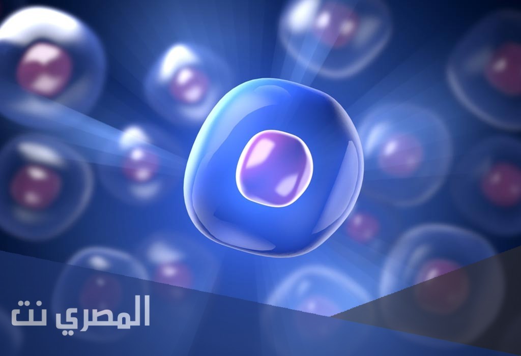 ما علاج صغر حجم البويضة؟