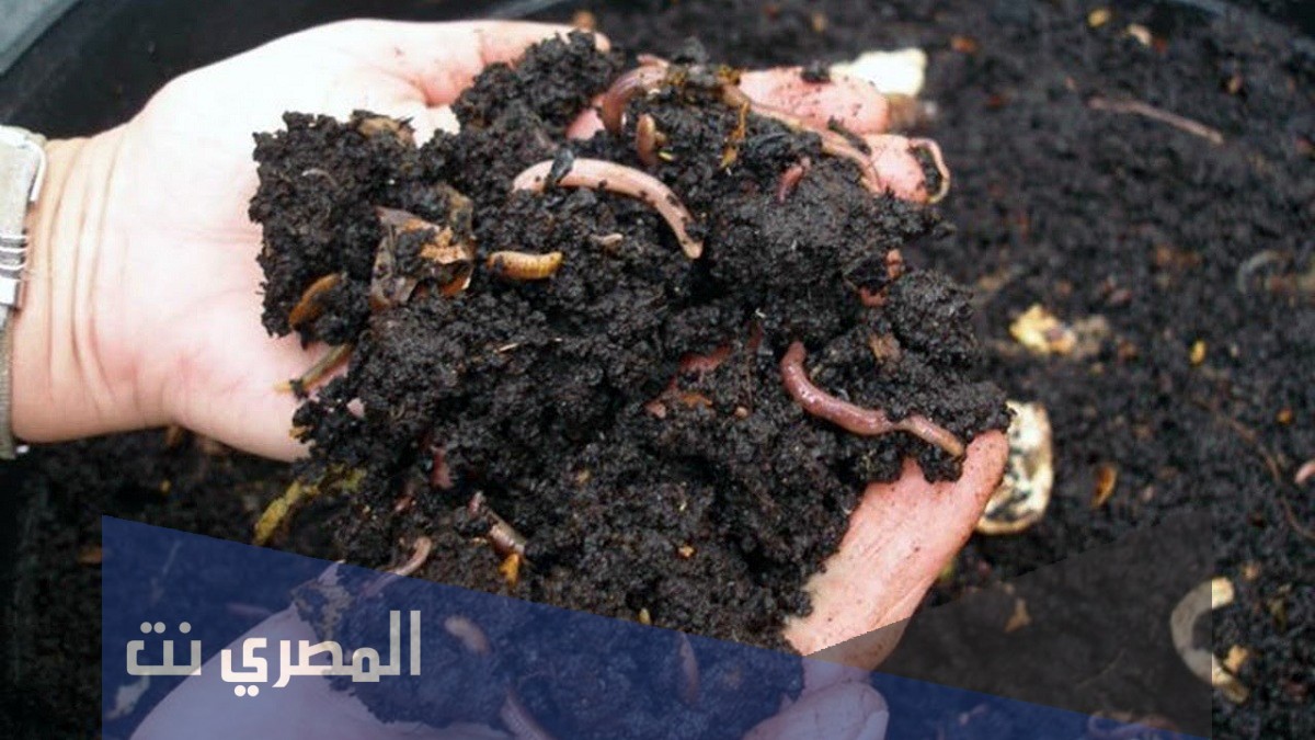 ما هو الدبال ومما يتكون وما خصائصه وفوائده وطرق زيادته في التربة