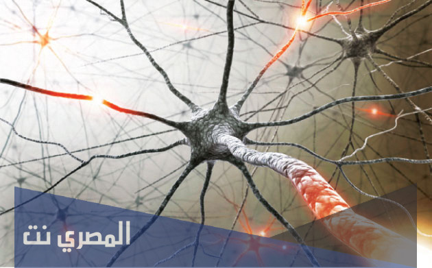 ما هو مرض ام اس في المخ