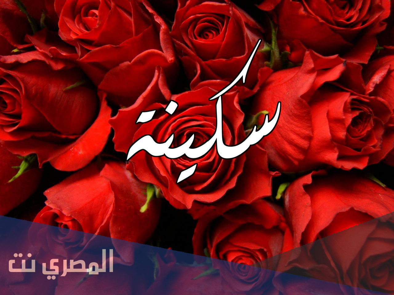 ما هو معنى اسم سكينة بالتفصيل