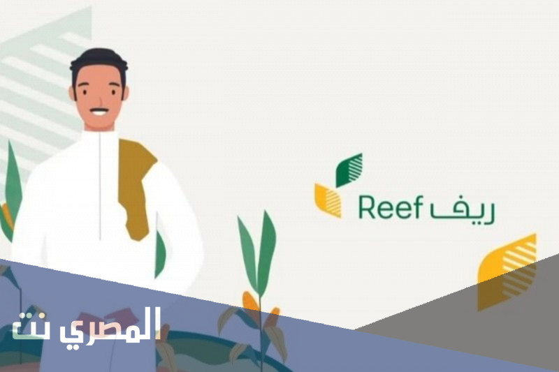 ما هو مقدار الدعم في برنامج ريف