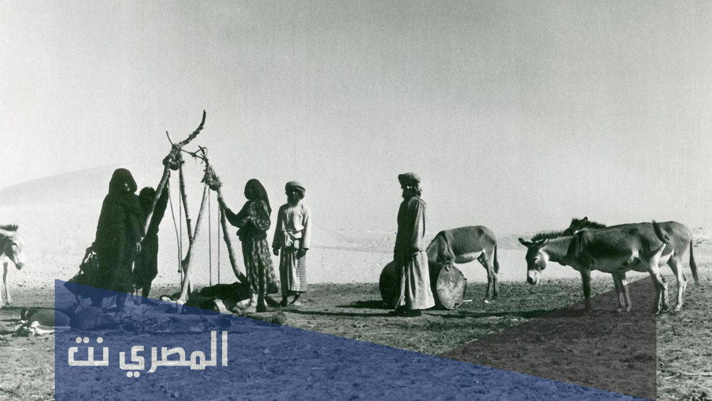 ما هي اكبر قبيلة في الامارات