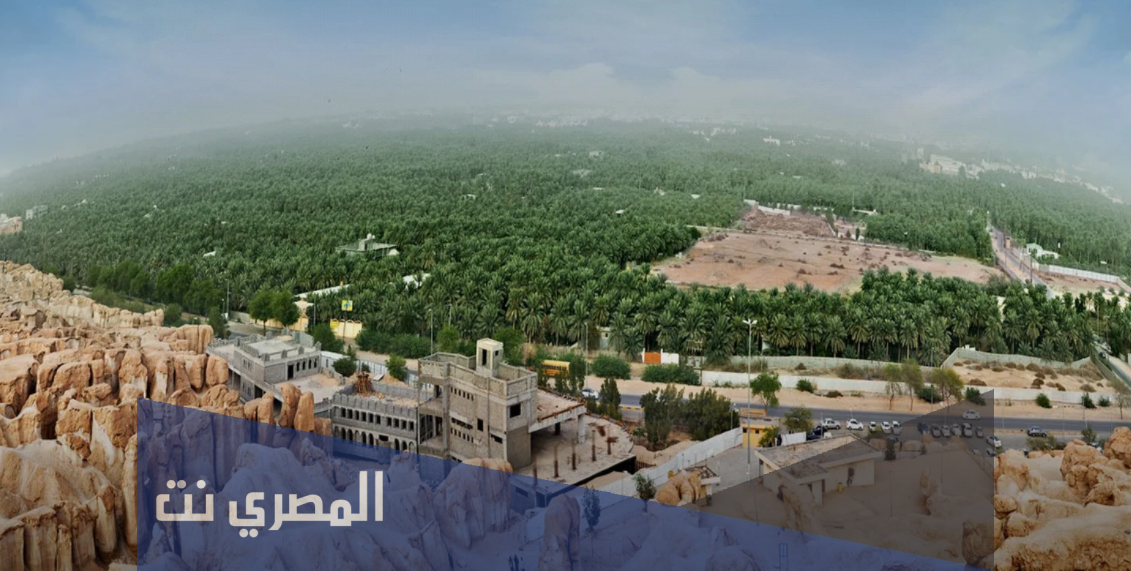 ما هي اكبر واحه في المملكه العربيه السعوديه