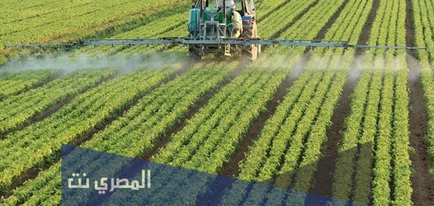 ما هي اهمية الزراعة في الامارات