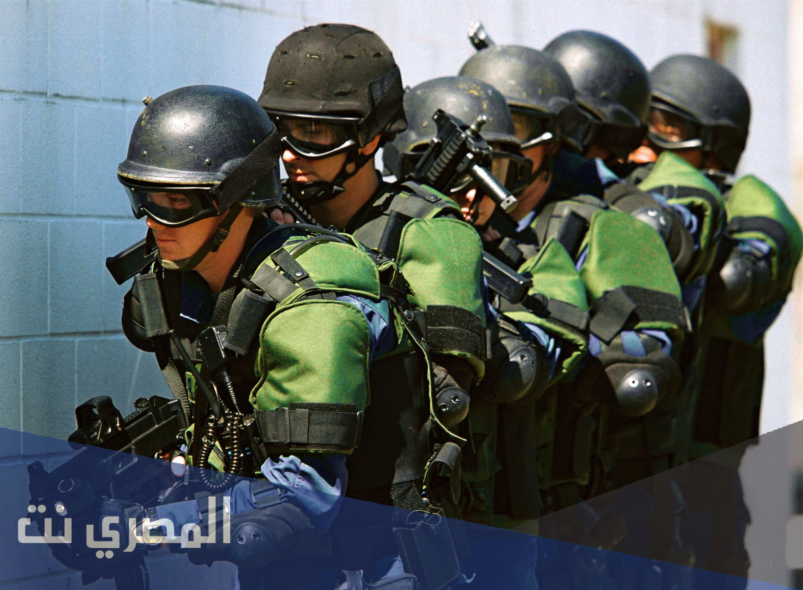 ما هي قوات gis المصرية ويكيبيديا