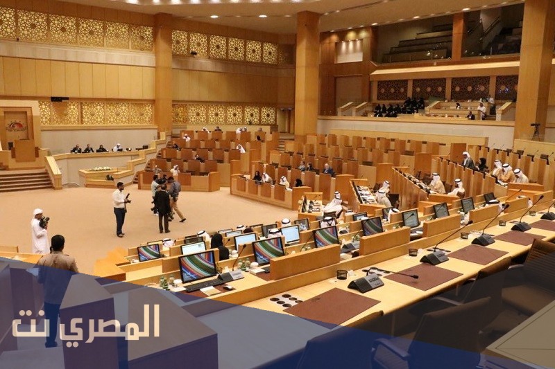 ماذا تسمى السلطات العامه في الامارات