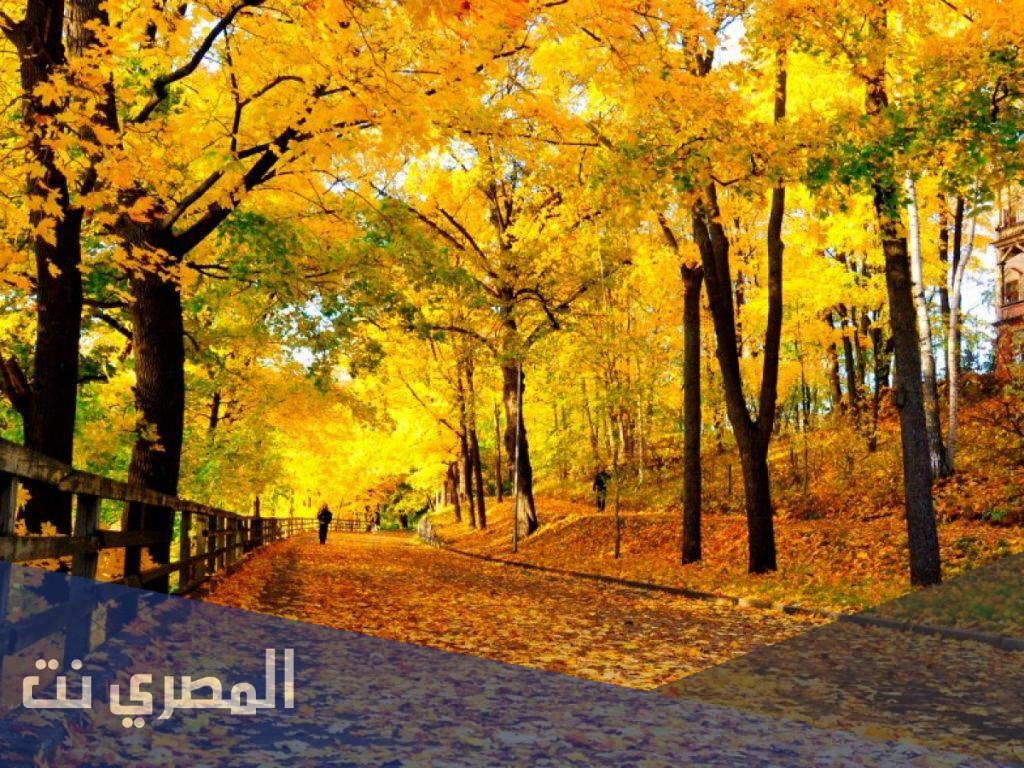 متى يبدأ فصل الخريف 2021 في السعودية