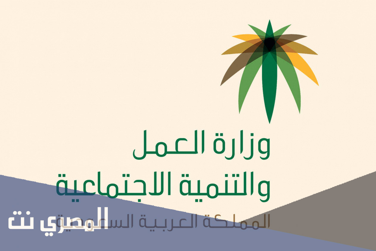 متى يطبق نظام الضمان الاجتماعي الجديد