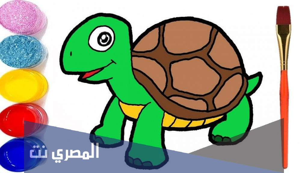 السلحفاة